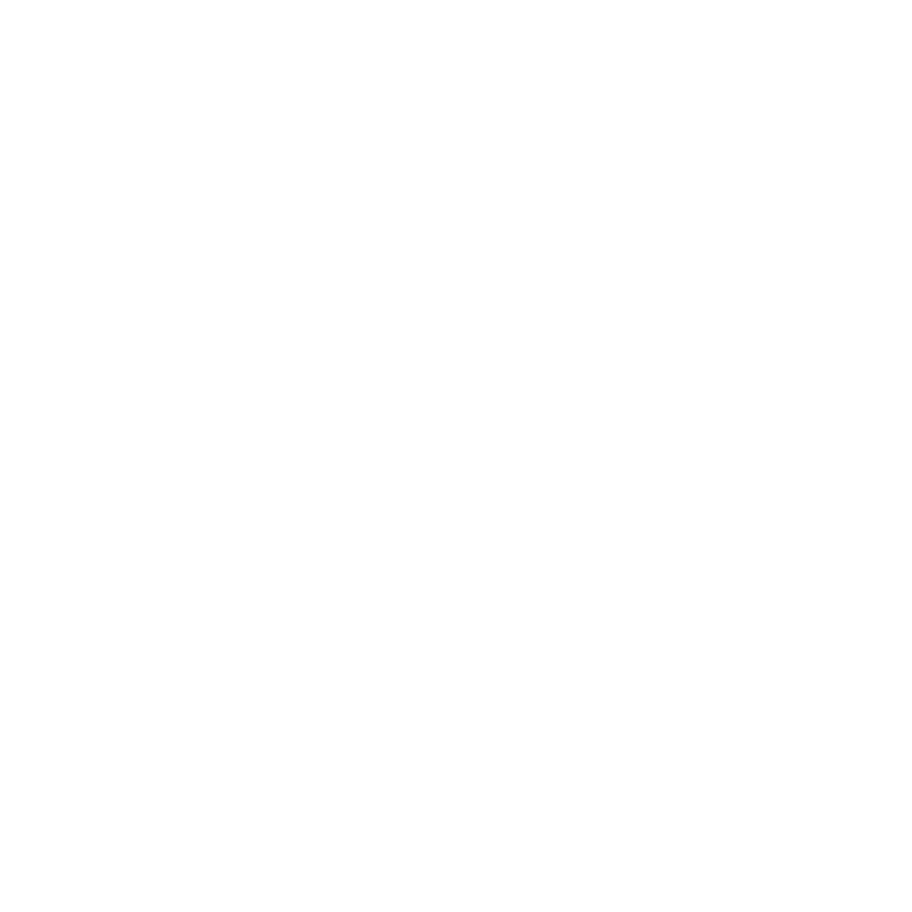Plaud Vision Works